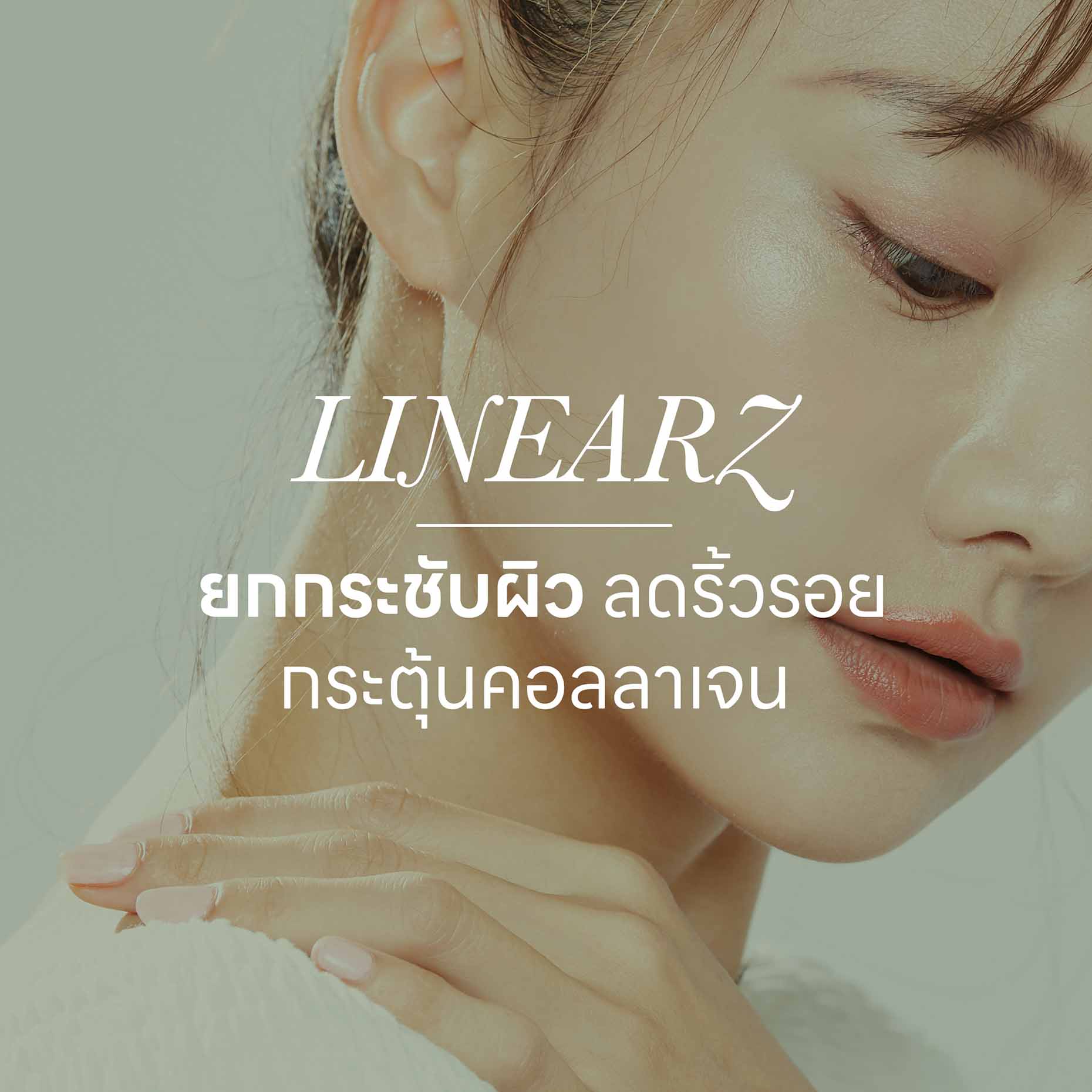 ออกแบบภาพกราฟิก Website 19-25 - Lily Nice Clinic